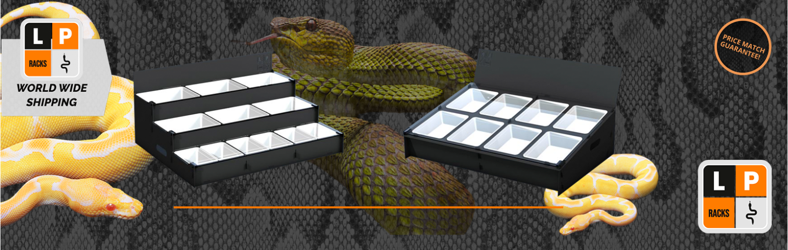 HERP DISPLAY