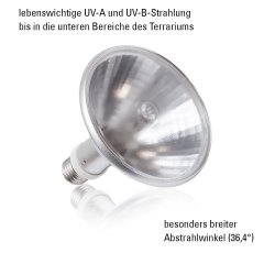 SolarRaptor UV HID Spot FLOOD 70W PAR38