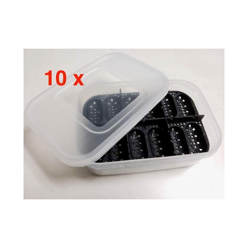 10 x EGG-BOX-Small
