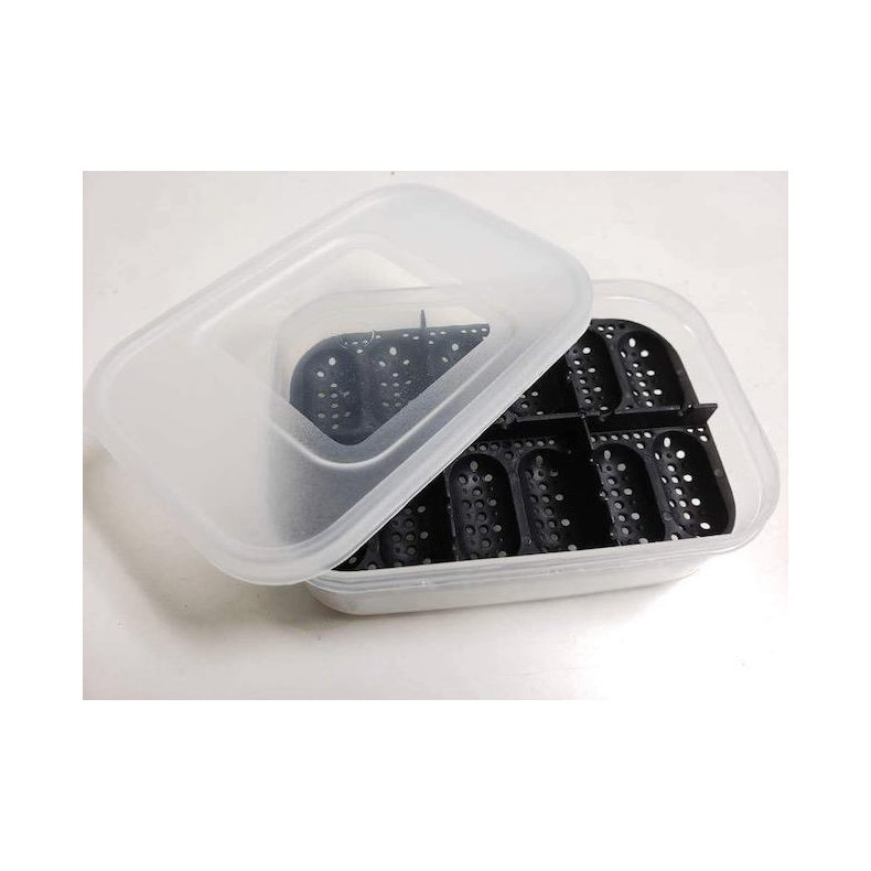 EGG-BOX-Small