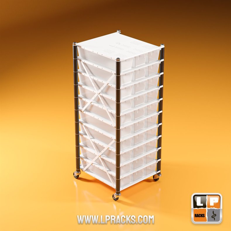 LP3-FB05-C10-1ROW-CLEAR