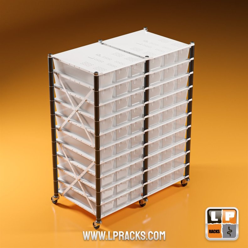 LP3-LP05-C10-2ROW