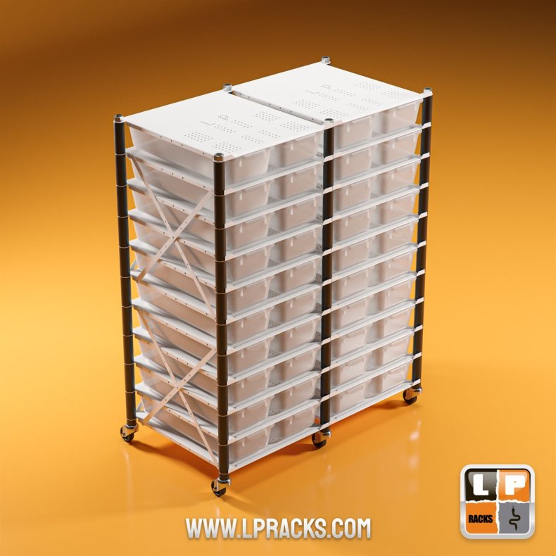 LP3-LP18-C10-2ROW