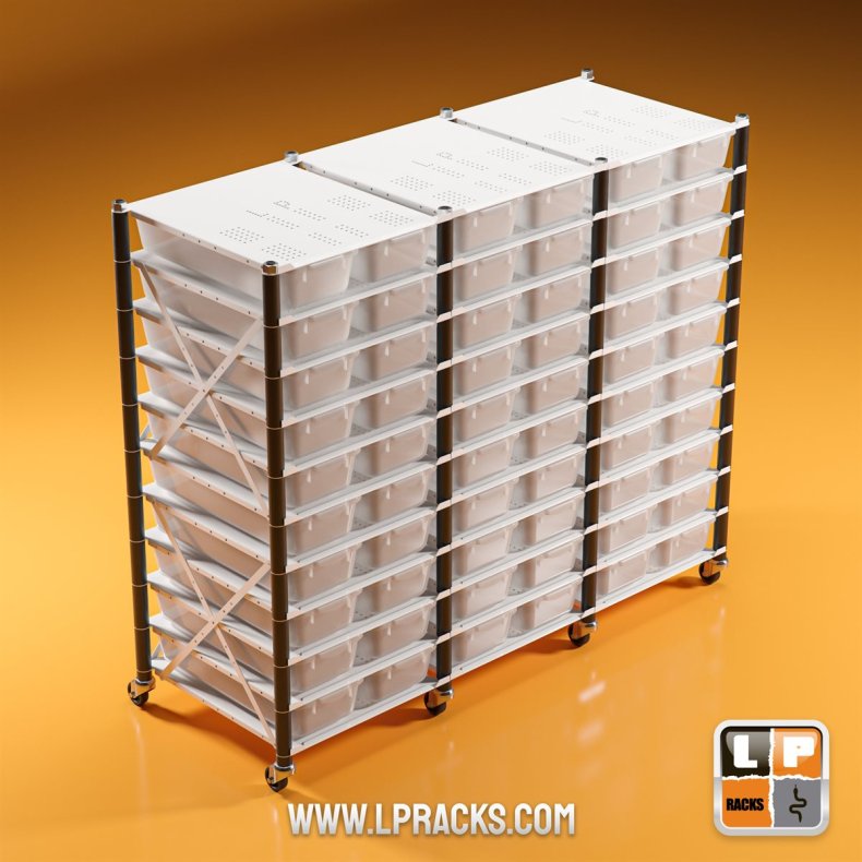 LP3-LP18-C10-3ROW