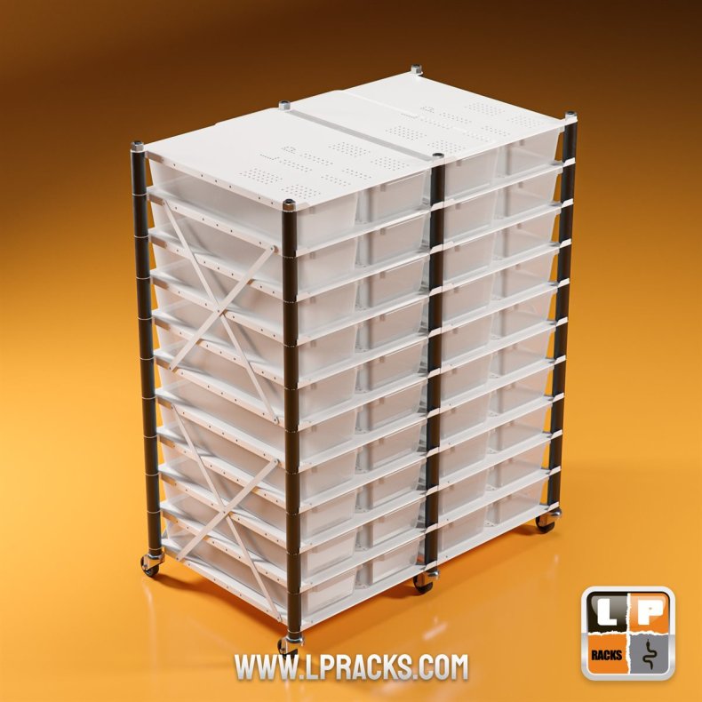 LP3-LP19-C10-2ROW