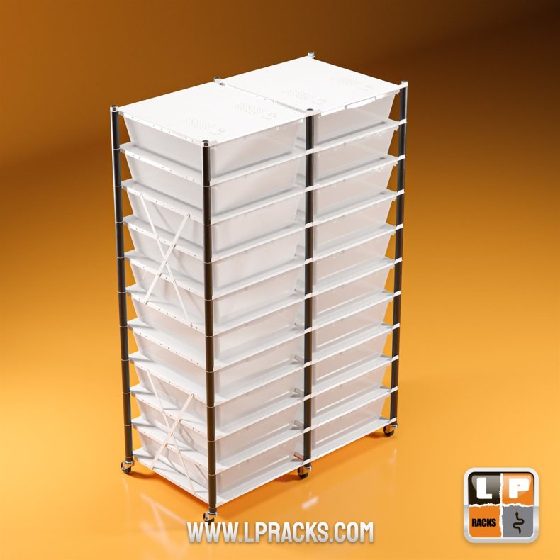 LP3-LP20-C10-2ROW