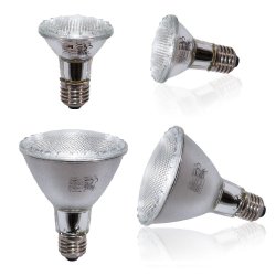 SolarRaptor UV Halogen Spot 35W PAR20